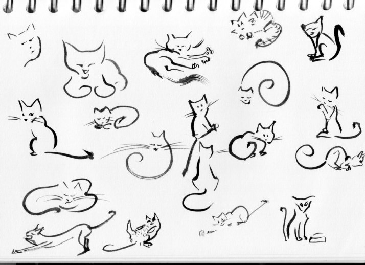 31-freestyle-cats