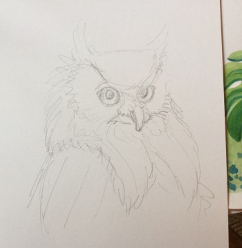 owl in pencil sketch